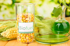 Newbie biofuel availability